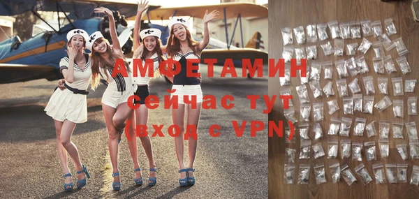 соль ск Пересвет