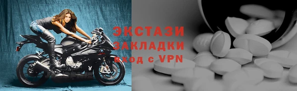 гашик Пестово