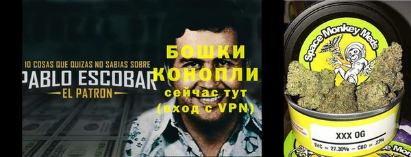 амф Ветлуга