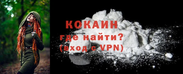 соль ск Пересвет