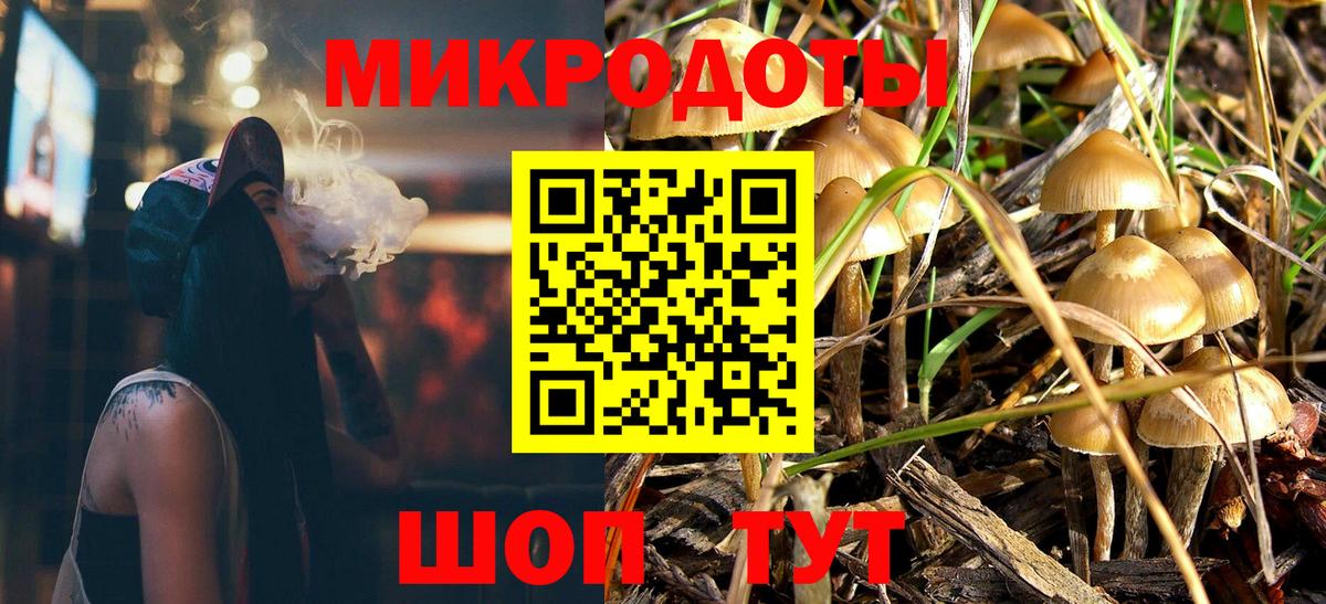 Галлюциногенные грибы мухоморы Старая Русса