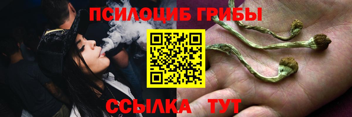 Старая Русса  продажа наркотиков  Вход с VPN  Галлюциногенные грибы Magic Shrooms 