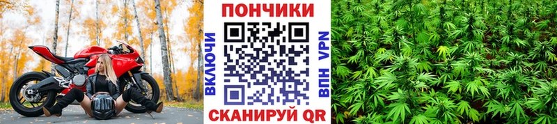 Каннабис White Widow  shop Telegram  Старая Русса 